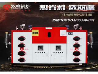 生物质蒸汽发生器