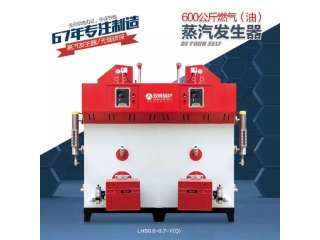 燃油蒸汽发生器