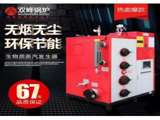 生物质蒸汽发生器