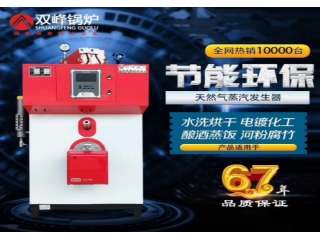 天然气蒸汽发生器