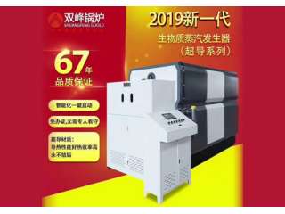 生物质蒸汽发生器超导系列