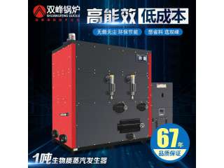 生物质蒸汽发生器