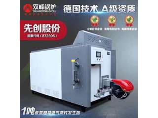 燃气蒸汽发生器