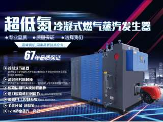 冷凝式燃气蒸汽发生器