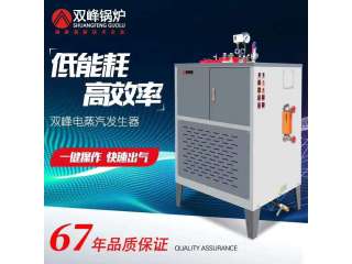 电蒸汽发生器
